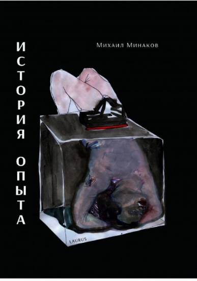 Книга История опыта. Автор Минаков, Михаил