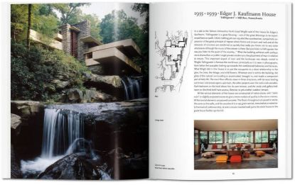 Книга Wright (Basic Art Series 2.0). Автор Bruce Brooks Pfeiffer