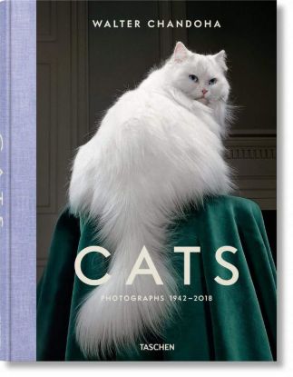 Зображення Walter Chandoha. Cats. Photographs 1942–2018