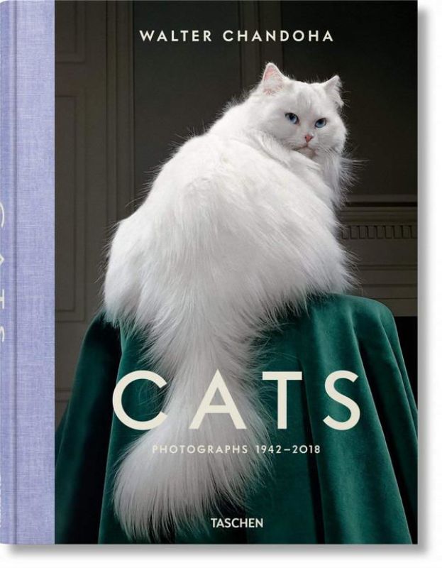 Зображення Walter Chandoha. Cats. Photographs 1942–2018