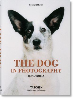  Зображення The Dog in Photography 1839–Today (Bibliotheca Universalis) 