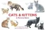  Зображення Игра Cats & Kittens: A Memory Game : A Memory Game 