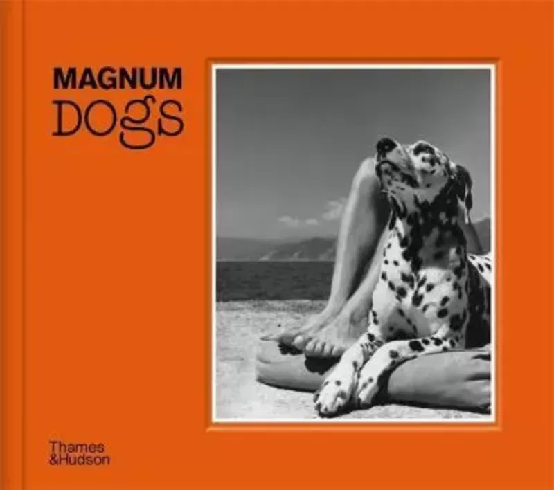 Зображення Magnum Dogs