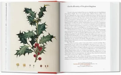 Книга A Garden Eden. Masterpieces of Botanical Illustration. 40th Ed.. Издательство Taschen