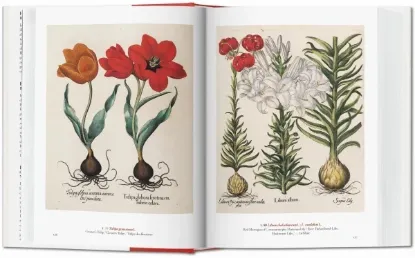 Книга A Garden Eden. Masterpieces of Botanical Illustration. 40th Ed.. Издательство Taschen