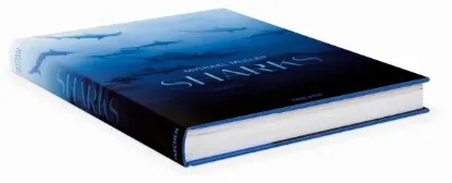 Книга Michael Muller. Sharks. Издательство Taschen