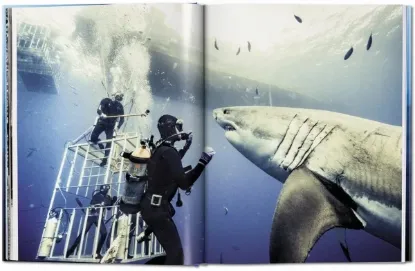 Книга Michael Muller. Sharks. Издательство Taschen
