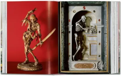 Книга Massimo Listri. Cabinet of Curiosities. 40th Ed.. Издательство Taschen