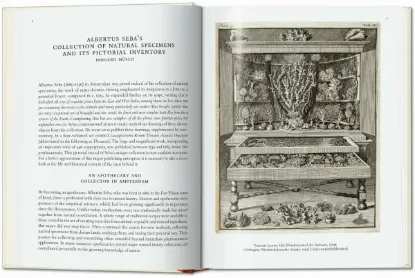 Книга Seba. Cabinet of Natural Curiosities. 40th Ed.. Издательство Taschen