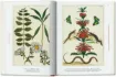 Книга Seba. Cabinet of Natural Curiosities. 40th Ed.. Издательство Taschen