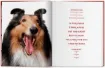 Книга Walter Chandoha. Dogs. Photographs 1941–1991. Издательство Taschen