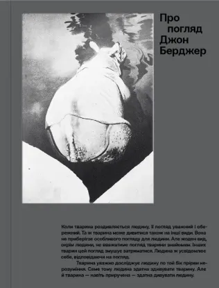  Зображення Про погляд 