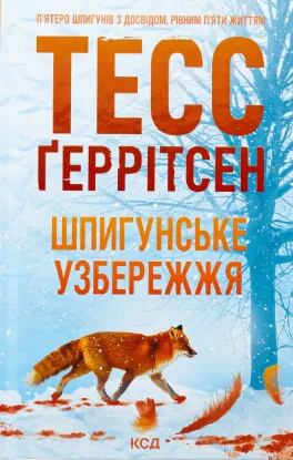  Зображення Шпигунське узбережжя. Книга 1 