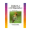 Изображение Birds of Instagram