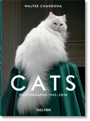 Изображение Walter Chandoha. Cats. Photographs 1942-2018