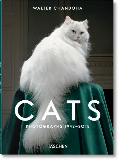 Зображення Walter Chandoha. Cats. Photographs 1942-2018
