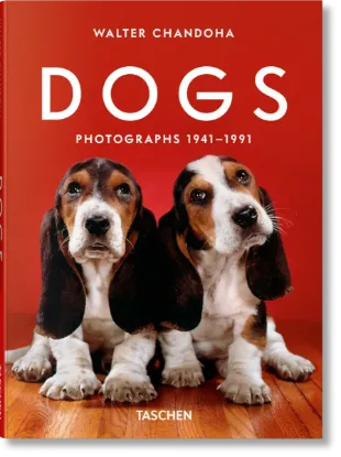 Изображение Walter Chandoha. Dogs. Photographs 1941–1991