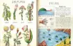 Книга Codex Seraphinianus. Автор: Луїджі Серафіні