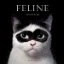 Зображення Feline