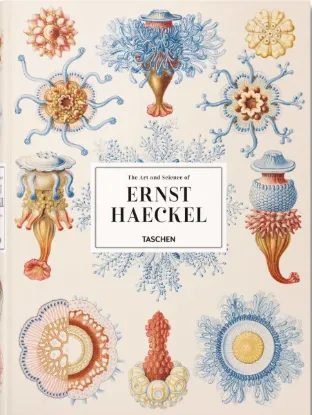 Изображение The Art and Science of Ernst Haeckel