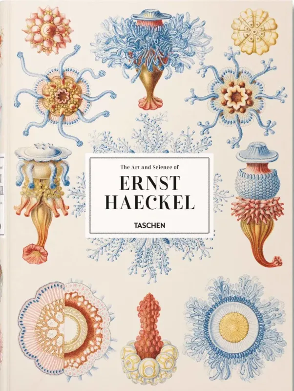 Изображение The Art and Science of Ernst Haeckel