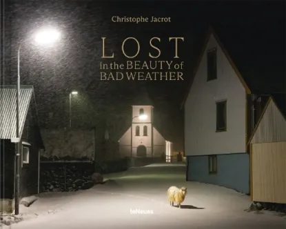 Изображение Lost in the Beauty of Bad Weather