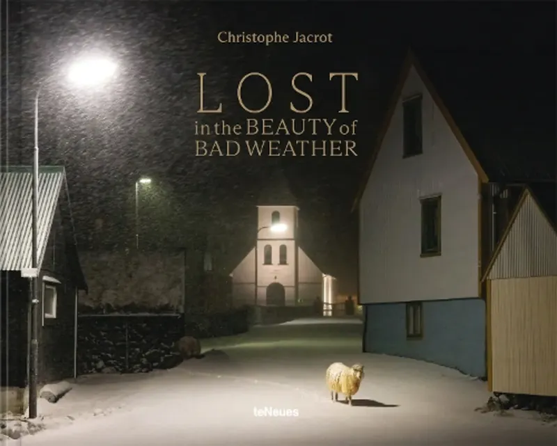 Изображение Lost in the Beauty of Bad Weather