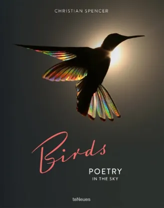 Изображение Birds: Poetry in the Sky