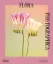 Изображение Flora Photographica
