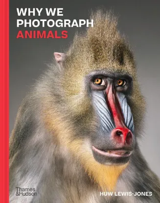 Зображення Why We Photograph Animals