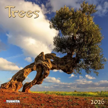Зображення Trees 2026