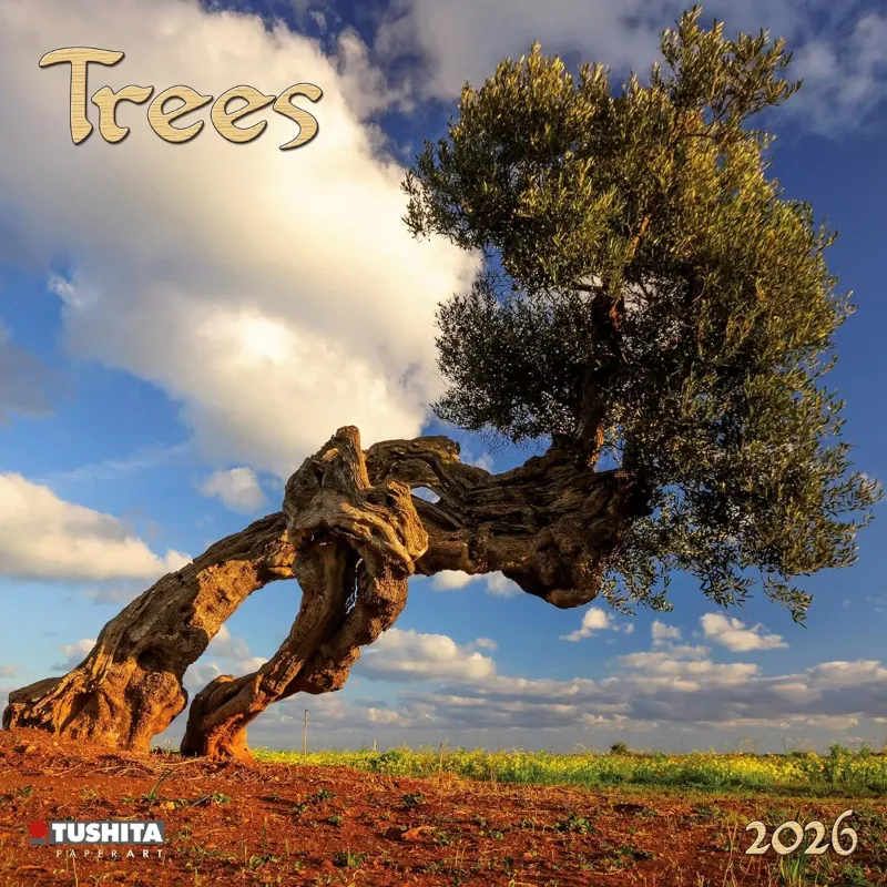 Зображення Trees 2026