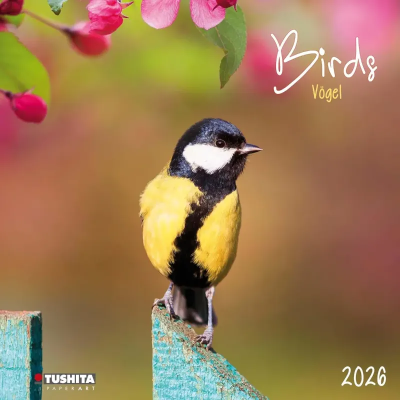 Зображення Birds 2026