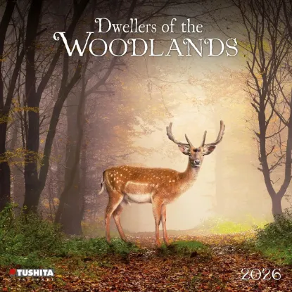Зображення Dwellers of the Woodlands 2026