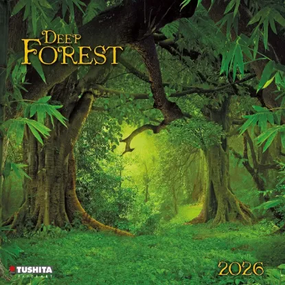Зображення Deep Forest 2026