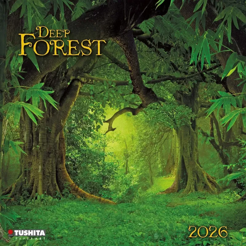 Зображення Deep Forest 2026