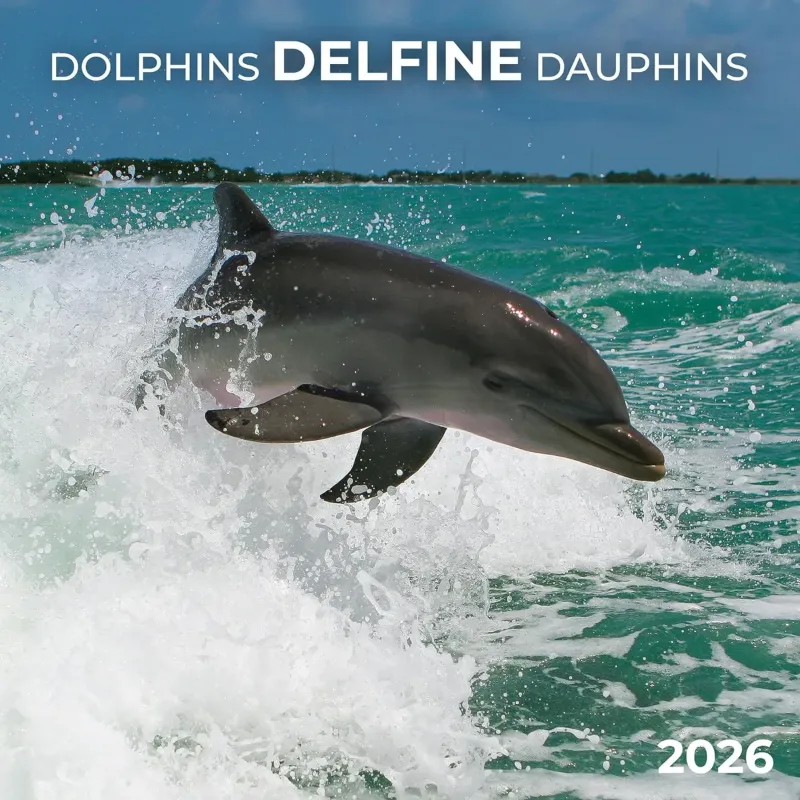 Зображення Delfine/Dolphins/Dauphins 2026