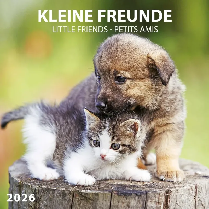 Зображення Kleine Freunde/Little Friends/Petits Amis 2026