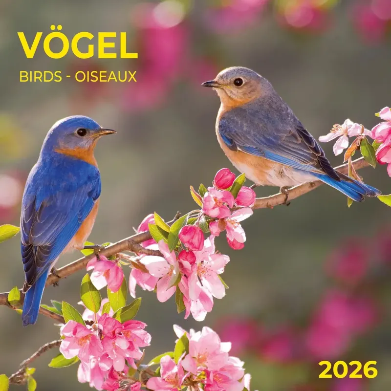 Зображення Vögel/Birds/Oiseaux 2026