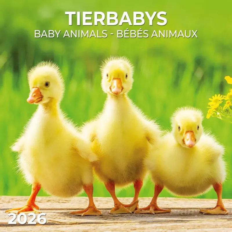 Зображення Tierbabys/Baby Animals/Bébés Animaux 2026