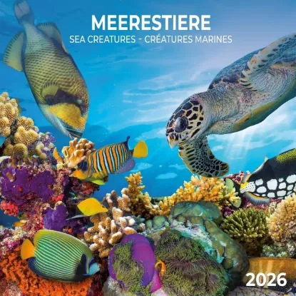 Зображення Meerestiere/Sea Creatures/Créatures marines 2026