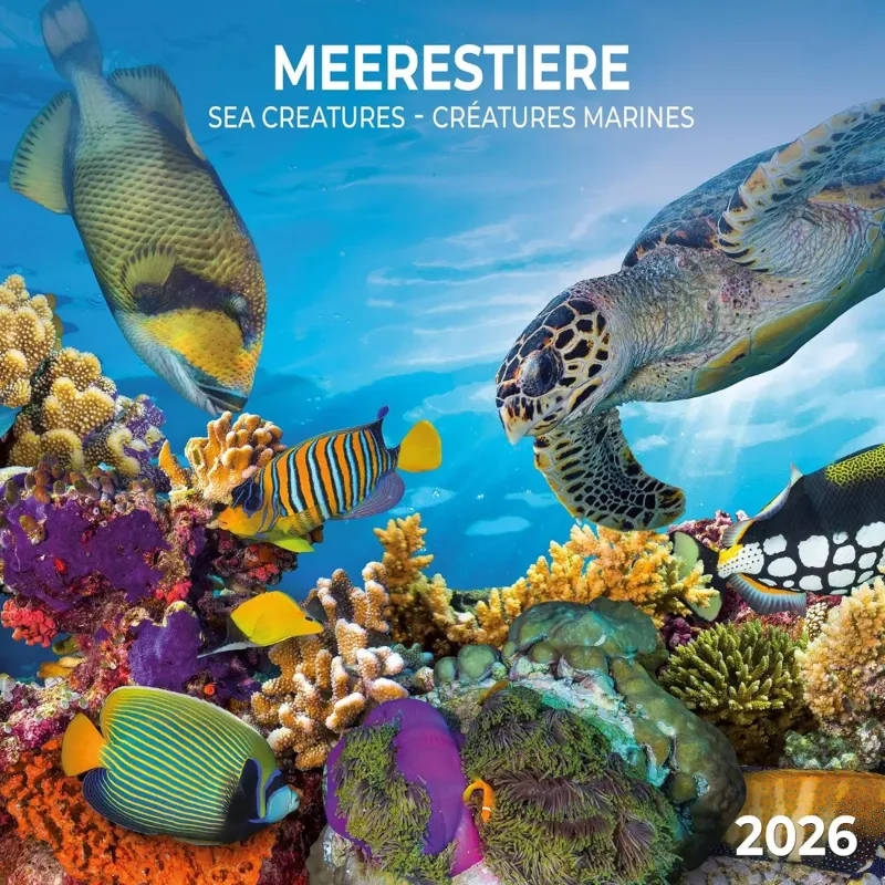 Зображення Meerestiere/Sea Creatures/Créatures marines 2026