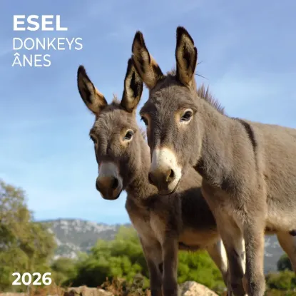 Зображення Esel/Donkey/Anes 2026