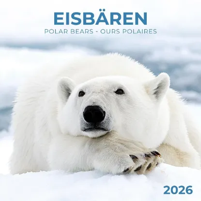 Зображення Eisbärchen/Polar Bears/Ours Polaires 2026