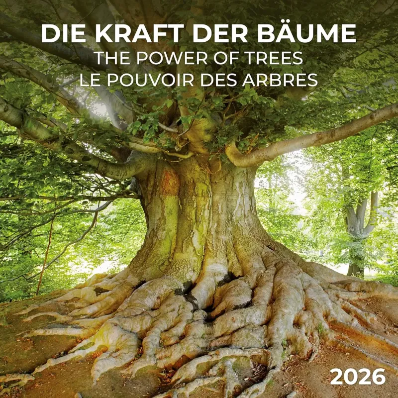 Зображення Die Kraft der Bäume/The Power of Trees/Le Pouvoir Des Arbres 2026