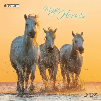 Зображення Magic Horses 2027