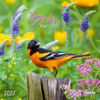 Зображення Birds 2027