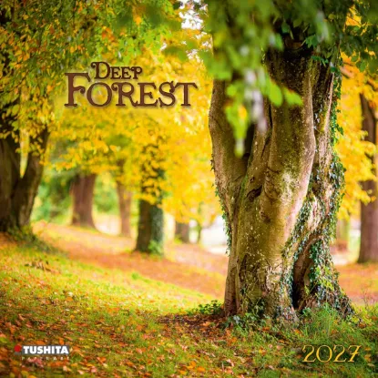 Зображення Deep Forest 2027