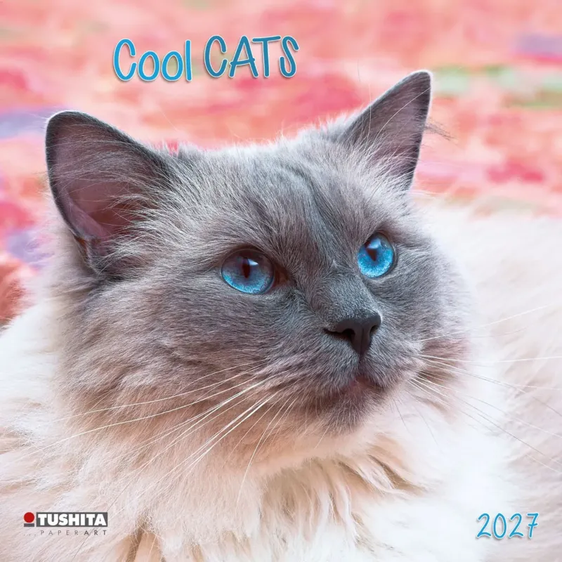Зображення Cool Cats 2027