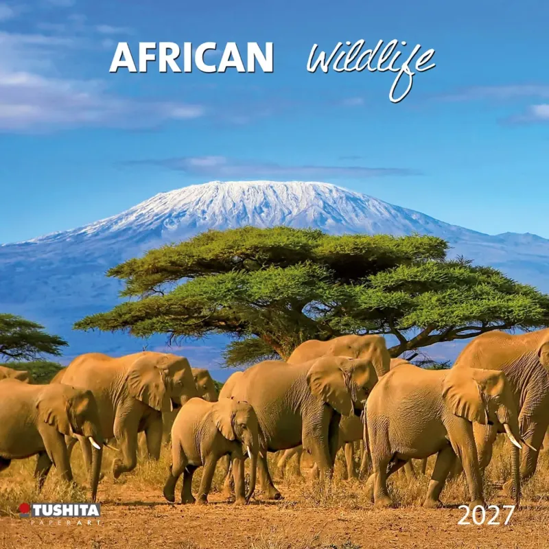 Зображення African Wildlife 2027